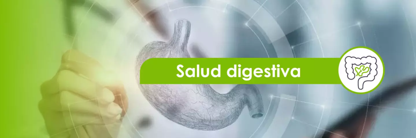 teasers_sitio-spm_salud-digestiva