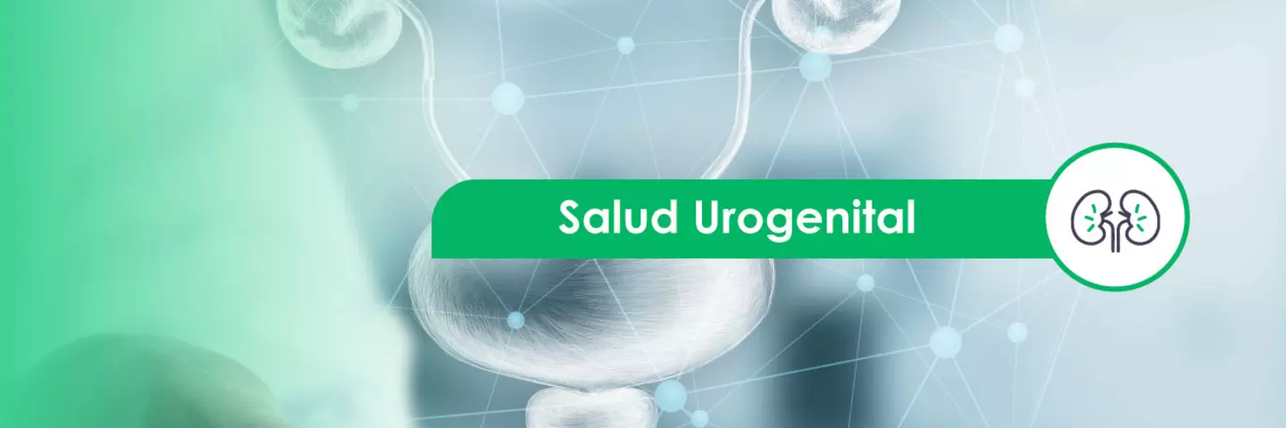 teasers_sitio-spm_salud-urogenital